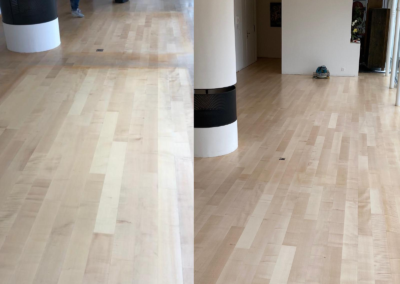 Parquet - Sols Passion